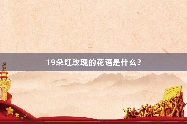 19朵红玫瑰的花语是什么？